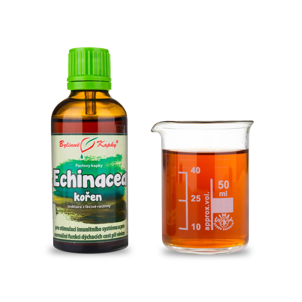 Echinacea (třapatka) kořen tinktura 50 ml - Bylinné Kapky