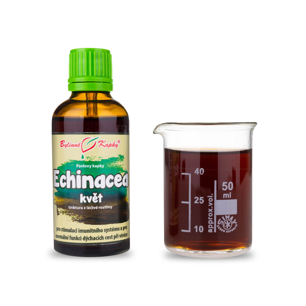 Echinacea (třapatka) květ tinktura 50 ml - Bylinné Kapky