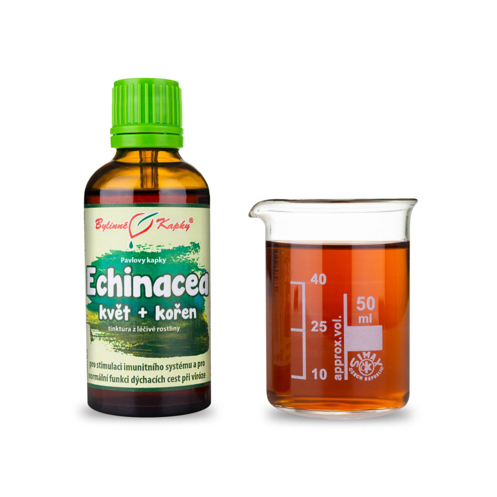 Echinacea (třapatka) kvetoucí nať + kořen tinktura 50 ml - Bylinné Kapky