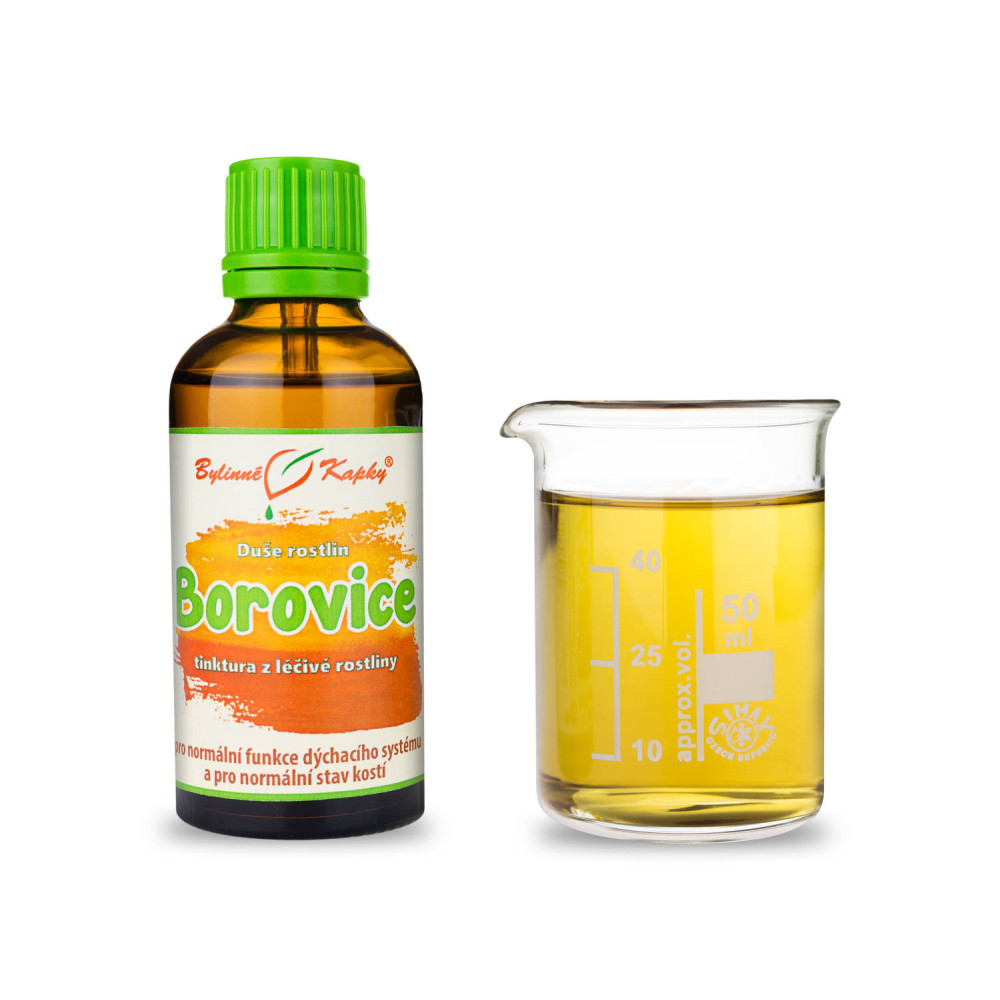 Borovice lesní výhonky - Duše rostlin tinktura 50 ml - Bylinné Kapky